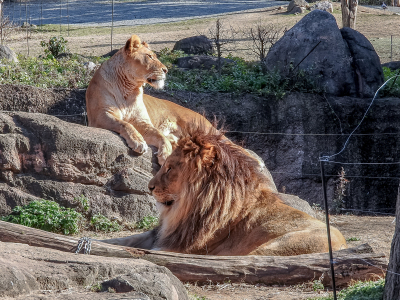 天王寺動物園