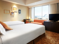 �X�^���_�[�h�c�C���i���j