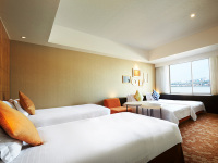 �f���b�N�X�c�C��(4���l�����p�j�i���j