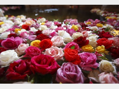 バラ風呂（女性限定／月＆土曜日のみ）