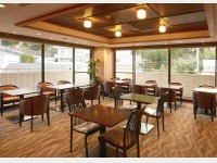 �Q�K�t���[���[���g�t