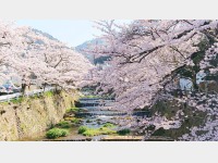 �L�n�쉈���̍�