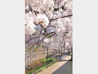 �L�n��V���������̍�