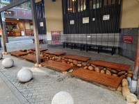 �L�n����X�̑����@���ق���k����T��