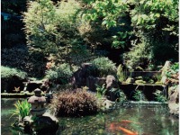 �뉀�@�C���[�W