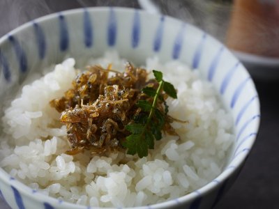 【季節の会席】冬(2025年12月～2026年2月) 食事 山椒ちりめん