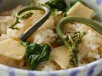 �y���ʉ�ȁz�t(2026�N3���`5��)  