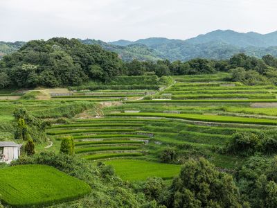 ホテルからの眺望