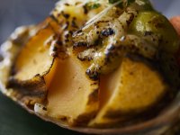 �y���ʉ�ȁz�~(2025�N12���`2026�N2��)