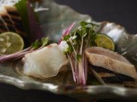 �y�G�߂̉�ȁz�~(2025�N12���`2026�N2��)