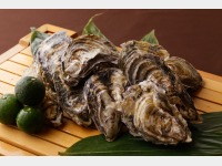 �����{�I���˓��̉��y�i11�����{�`3����{�j