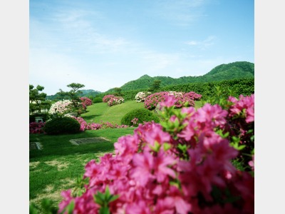 あさぎり荘　中庭