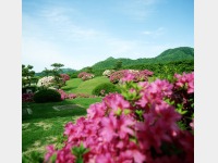 �������葑�@����