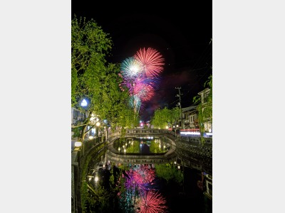 夢花火と柳並木