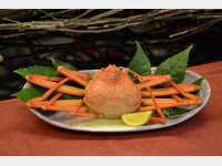 ���Z�Y�g�I