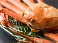 ���Z����