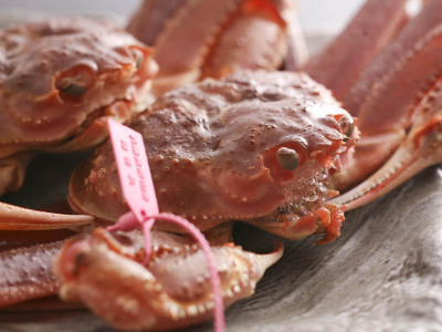 活け松葉がに一例