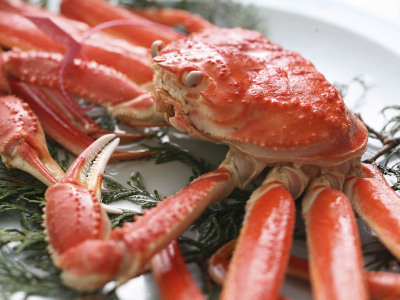 松葉がにの茹でがに一例