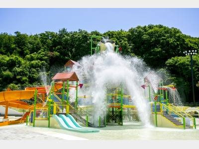 アクティビティ