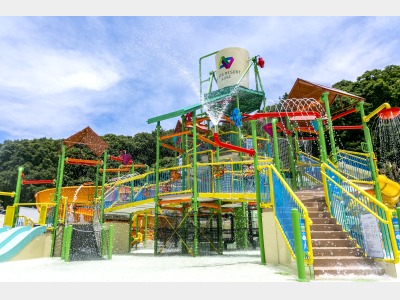 アクティビティ