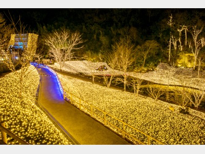 光のさんぽみち