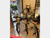 �����^�T�C�N���i�撅���j