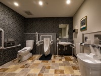 �QF�@���ړI�g�C��