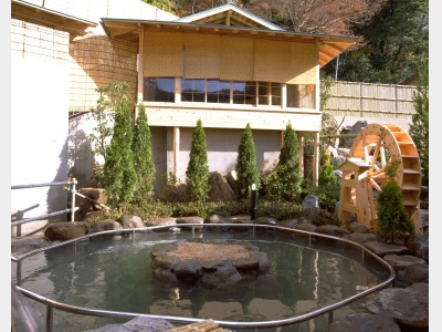 左の湯「歩行湯」