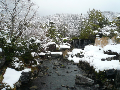 庭園　冬景色