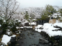 �뉀�@�~�i�F