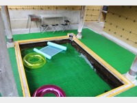 ����v�[���t��BBQ�n�E�X