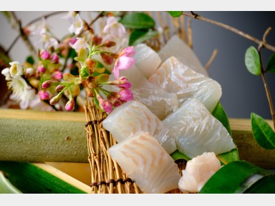 平目の焼霜造り1