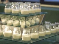 �����v����