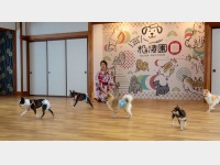 �h�b�O����