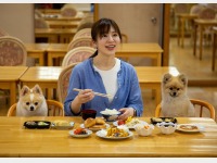 �H�����i��񂿂��j