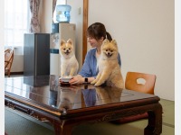 �q�����i��񂿂��j