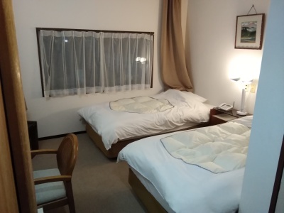 訳ありツイン(一例)