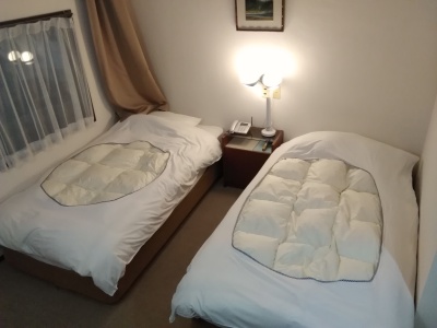 訳ありツイン(一例)