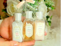 ���������v�����̃v���[���g�p�A���j�e�B�u�f�^�C���E���E���]���v