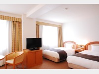 �c�C���q�� ���