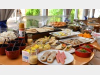 ���H�o�C�L���O