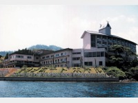 全景