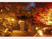 �{�ݓ��C���[�W