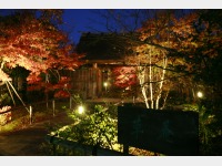 �{�ݓ��C���[�W