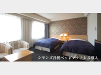 モデレートツイン一例