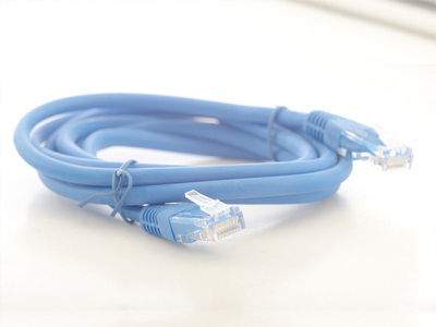 有線LANケーブル（貸出）　※数量限定