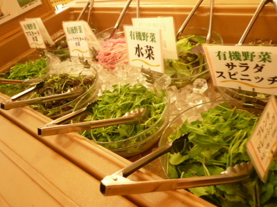 夕食イメージ（有機野菜）