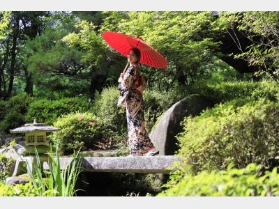 自然豊かなお庭で癒しの時間を演出します。