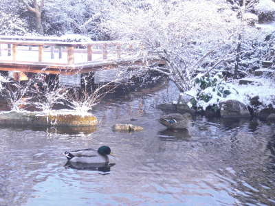 四季によって違った表情が楽しめます。