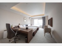 �X�^���_�[�h�c�C�����